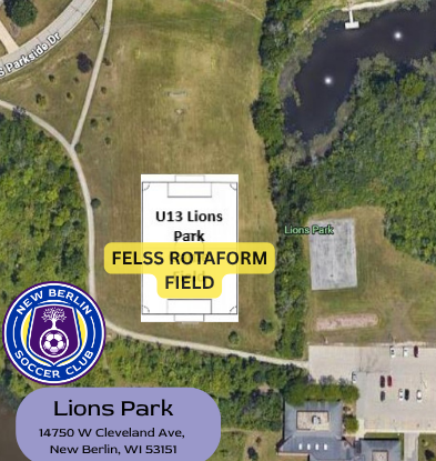 LIONS